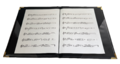 Chormappe-SINGSTAR-schwarz-Gummiband-Logodruck-Seitenfächer-für DIN A4 und DIN A3